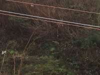 An update on the final stretch of OHLE wiring between the top of the incline and the tunnel... Catenary wires and hangers have now appeared and just the contact conductor to be strung now so can't be long now until the line goes live and we see how the 385's handle the climb from Queen St.<br><br>[Martin MacGuire 17/01/2017]