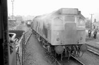 25231 backs onto its train at Cutler Sidings, Waterside, on 4 July 1978. Seen from the cab of NCB No 24. <br><br>[Bill Roberton 04/07/1978]