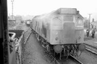 25231 backs onto its train at Cutler Sidings, Waterside, on 4 July 1978. Seen from the cab of NCB No 24. <br><br>[Bill Roberton 04/07/1978]