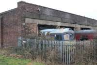 BRCW Type 3 33030 pokes a faded nose out of the West Coast depot at Carnforth on 19th January 2017. The former DRS loco has been stored at Carnforth for many years but for most of the time was in the open yard [See image 36467]. Is something planned for it now?<br><br>[Mark Bartlett 19/01/2017]