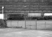 Privately owned 08443 parked at Cambus Distillery; later preserved at Bo'ness.<br><br>[Bill Roberton //1987]