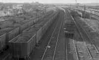 Before. Ashington Colliery sidings in 1986. What a difference a year makes ...<br>
<br>
View west from the west end of the Ashington Colliery complex. The colliery was originally approached by the line from Ashington Colliery Junction near Pegswood.<br><br>[Bill Roberton //1986]