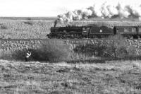 Working hard on the northbound climb up Shap, 45690 Leander is seen just north of Scout Green with 11 coaches and a Class 37 diesel in tow whilst working the Winter CME tour to Carlisle on 21 January 2017. Looking at the scene I wonder what gives away the fact that it wasn't 50 years earlier?<br><br>[John McIntyre 21/01/2017]