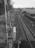 Looking east from the footbridge at Cambus with the access to Alloa Yard in the background.  Track has been lifted to form a new loop behind the camera allowing closure of the level crossing and signalbox. 1987.<br><br>[Bill Roberton //1987]