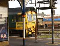 Southbound Freightliner 66517, stopped at Eastleigh for a crew change on 11 January 2017.<br><br>[Peter Todd 11/01/2017]