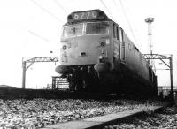 An up freight passing through Crewe in April 1969 behind D429. The locomotive has not yet been fitted with jumpers for multiple working. These were required to allow double heading of Anglo-Scottish expresses north of Crewe the following year until completion of electrification in 1974. For a view of the same locomotive a year later [see image 36645]. [Ref query 696]  <br><br>[John Furnevel 26/04/1969]