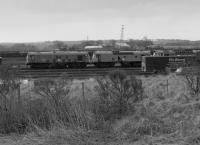 25028 and 25318, along with a class 27, await the end at Thornton Yard in 1987.  Vic Berry of Leicester had set up a loco scrapping operation at the yard but local fears about asbestos contamination curtailed the activity.<br><br>[Bill Roberton //1987]