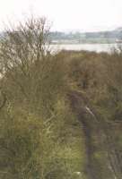 View north at Bowness along the causeway towards the former Solway Viaduct in 2002.<br><br>[Mike Shannon /03/2002]