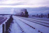 60009 'Union of South Africa' approaches Forteviot with the northbound 'Fair Maid'.  14th January 1984.<br><br>[Graeme Blair 14/01/1984]