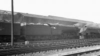 Locomotives in the shed yard at Gateshead in the summer of 1963.<br><br>[K A Gray //1963]