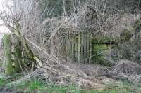 The remains of the wooden gate at the foot of the steep pathway leading to the up platform at Charlesfield; still visible through the undergrowth on the east side of the bridge in February 2017.<br><br>[John Furnevel 14/02/2017]