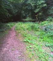 Looking South towards Drybrook from the mining museum site at Lea Bailey [see image 56586]. This is a very peaceful walk, which I had wanted to do for some 21 years - procrastination is the thief of trackbed gricing.<br><br>[Ken Strachan 17/09/2016]