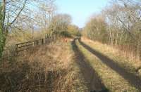 Looking north from the site of Charlesfield Halt in February 2017. The Eildon Hills are just visible through the trees.