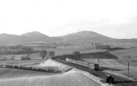 A BR Sulzer Type 2 with an up train on the Waverley route in the mid 1960s, seen here shortly after leaving St Boswells. On the embankment just above the rear coaches stood the wooden platforms of Charlesfield Halt, opened in 1942 to serve a Government munitions factory located off picture to the right. [See image 58342]<br><br>[Dougie Squance (Courtesy Bruce McCartney) //]