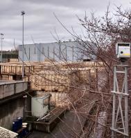 Although the Powderhall refuse depot is not completely closed, the 'Binliners', the branch's sole traffic, ceased last month and the rails are rusting. The left- behind containers can be seen here through the unavoidable vegetation. Will they be removed by rail, I wonder? Photographed 05/03/2017.<br><br>[David Panton 05/03/2017]