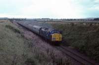 Shortly after passing the former Kirriemuir Junction, 37026 heads towards Forfar with the 'Ayr - Aberdonian' tour on 19th September 1981.<br><br>[Graeme Blair 19/09/1981]