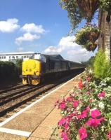 DRS 37419 on the rear of a Lowestoft - Norwich train at Brundall in the summer of 2016.<br><br>[Ian Dinmore //2016]