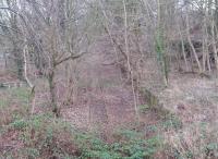 Merryhill Quarry Siding on the Charlestown Railway looking east in February 2017. [Ref query 983]<br><br>[Mark Poustie 06/02/2017]