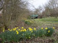 View north at the partly infilled site of Bothwell station. This section of the line is now designated 'Bothwell Nature Trail' and is popular with walkers. <br><br>[Colin McDonald 15/03/2017]