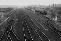 Cadder Yard looking east in 1994.<br><br>[Bill Roberton //1994]