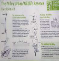 'The Miley' (the Miley Urban Wildlife Reserve Dundee) occupies a portion of the former railway running north east from the former station at Lochee.<br><br>[John Yellowlees 22/02/2017]