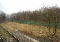 A view in the Up Relief Siding of where the Buxton steam shed once stood. An area now covered with silver birch!<br><br>[John McIntyre 26/02/2017]