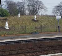 White Hares Looking Up by Wayne Darnell at Dalry Station.<br>
<br>
Three glass-fibre sculptures from Wayne Darnell funded by the Dalry Parish Boundary Trust and North Ayrshire Council were unveiled today at the Dalry Station Garden Group's Open Day held in warm spring sunshine.<br><br>[John Yellowlees 24/03/2017]