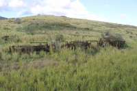 Abandoned sugar cane wagons sitting in a former transfer station on the St Kitts Railway, as seen from a passing passenger train in February 2017. Although the tourist train passes a number of these former yards this was the only one where I saw old rolling stock. <br><br>[Mark Bartlett 18/02/2017]