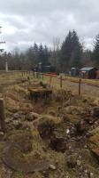 Remains of the station building on the island platform at Invergarry.<br><br>[John Yellowlees 02/04/2017]