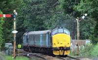 Long shot of the short set at Brundall in 2016, with DRS 37405 leading the way on a Norwich - Great Yarmouth train.<br><br>[Ian Dinmore //2016]