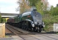 <I>No.9 back on the line.</I> Following overhaul, and prior to being used on the <I>Great Briton X</I> tour, A4 60009 took a test train round the Carnforth to Carnforth loop. The LNER Pacific is seen here passing through Hoghton on 26th April 2017.<br><br>[Mark Bartlett 26/04/2017]