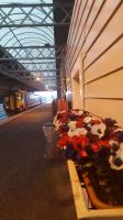 Flowers brightening Stranraer station on an otherwise drab day.<br><br>[John Yellowlees 02/02/2017]