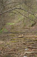 Here, along a part of the old Selkirk- Galashiels line near Selkirk Junction there are extant wooden sleepers still visibly in situ.<br><br>[Kathryn Cresswell 09/04/2017]