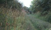 A photograph taken during a 1974 walk along the old Central Fife trackbed from<br>
Wester Durie farm, just east of Kennoway, to just before Balgrummo bridge<br>
(my uncle was the farmer at Balgrummo.)<br><br>[Jim Scott //1974]