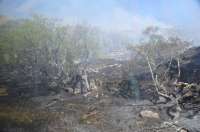 As our Sprinter climbed west on Beasdale Bank there was a distinct hush - our train slowed - the lineside on both sides of the line was burned and a Stygian Gloom had descended. The same on our return journey although only a small area of the fire remained burning.<br><br>[Ewan Crawford 03/05/2017]