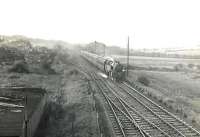 An Uplawmoor - Glasgow Central train approaching Muirend station on 6 October 1953 behind BR Standard tank 80023. The line running off to the left of the train is part of the Muirend to Clarkston East spur.<br><br>[G H Robin collection by courtesy of the Mitchell Library, Glasgow 06/10/1953]