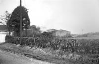 The Langholm freight is temporarily halted alongside Gilnockie Station during Easter 1965. At this time a member of the train crew was responsible for opening and closing the level crossing gates, visible on the left.<br><br>[Bruce McCartney 27/03/1965]