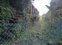 The derelict Wenford (clay) dries at the end of the Wenfordbridge branch in April 2017. The location is near the end of the Camel Trail. [see image 12904] [Ref query 1011]<br><br>[Ken Strachan 12/04/2017]