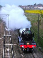 <h4><a href='/locations/I/Inveresk'>Inveresk</a></h4><p><small><a href='/companies/N/North_British_Railway'>North British Railway</a></small></p><p>60103 Flying Scotsman nears Inveresk with The Cathedrals Express from Kings Cross to Edinburgh on 13 May. 98/132</p><p>13/05/2017<br><small><a href='/contributors/Bill_Roberton'>Bill Roberton</a></small></p>