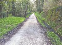 Approaching the end of the Wenfordbridge branch [see image 12904] on the Camel Trail, gateposts on the left indicate former industrial activity.<br><br>[Ken Strachan 12/04/2017]