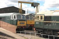 D7017, D6575 & D6566 in the yard at Williton diesel depot on 25 April 2017.<br><br>[Peter Todd 25/04/2017]