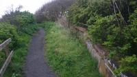 Part of the platform wall at Sandsend, just north of Whitby, on Saturday 8th May 2017. The path is part of the <a href=http://www.nationaltrail.co.uk/cleveland-way target=external>Cleveland Way</a>, and is very narrow at this point due to coastal erosion. <br><br>[Alan Cormack 14/05/2017]