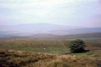 Ribblehead Viaduct just visible from the <a href=http://www.nationaltrail.co.uk/pennine-way target=external>Pennine Way</a> in September 1968.<br><br>[John Thorn //1968]