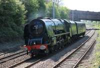 46233 <I>Duchess of Sutherland</I> ran E+C from Crewe to Carlisle on 3rd May 2017 prior to taking up the Glasgow to Oxenholme leg of the GB X tour the following day and is seen here approaching Hest Bank.<br><br>[Mark Bartlett 03/05/2017]