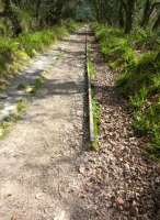 A remarkable find - five twenty foot iron rails on the Treffry Upper tramroad. There were another five rails on the opposite side a bit further on.<br><br>[Ken Strachan 13/04/2017]