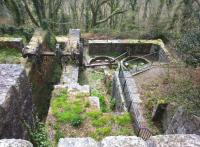 This derelict mechanism was the driving system for the incline between the Treffry Upper Tramroad and Lower Tramroad. The shaft on the left carried a waterwheel which drove the gears on the right.<br><br>[Ken Strachan 13/04/2017]