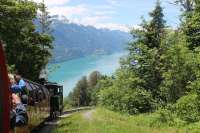 View of the bright blue mineral rich waters of Lake Brienz from a descending Rothorn train approaching the loop at Geldried. This is a line of two halves with rugged mountain scenery on the upper section and glorious lake views from the lower. The wooded outcrop on the far side of the lake is Geissbach, calling point for the lake steamers and the location of the funicular railway of the same name. [See image 56919] 20th June 2016.  <br><br>[Mark Bartlett 20/06/2016]