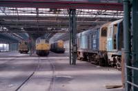 After Dunfermline Townhill closed, it was used for a time for storage of locomotives awaiting the call to works. Classes 08, 20 and 26 under cover but not secure as you could just walk in of the street. 02/05/1984.<br><br>[Douglas McPherson 02/05/1984]