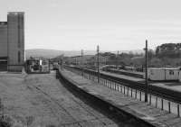 Looking south over Muir of Ord yard on 31 March 1989 with the temporary locomotive shed under construction in the background. This facility was provided to service the trains isolated by the Ness Viaduct collapse.<br>
<br><br>[Bill Roberton 31/03/1989]