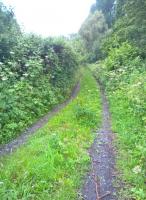 A somewhat unadopted section of the Chard branch trackbed (neither footpath nor road) but unfortunately behind a padlocked gate. View looks South towards the former GWR station.<br><br>[Ken Strachan 29/05/2017]